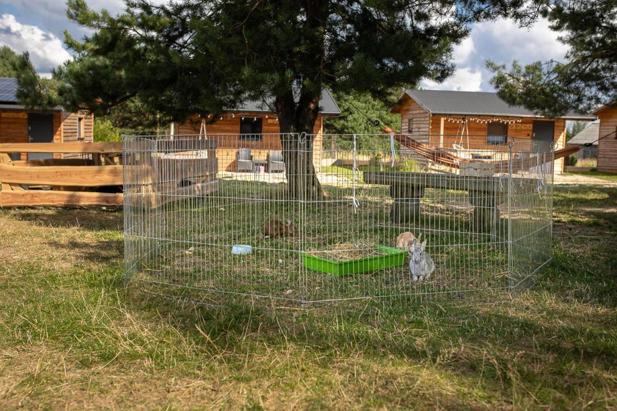 Villa Sokole Ranczo Biskupice Kocurów Esterno foto
